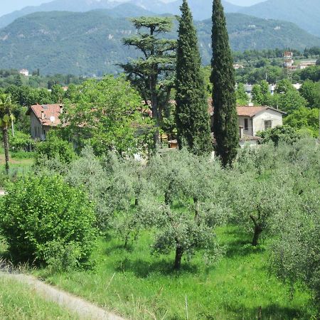 Agriturismo Bonu Gabriele Salò Buitenkant foto